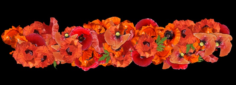 Bohemian Floral Arrangements